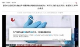 武汉疫苗最新爆料,揭秘疫苗研发进展与争议焦点