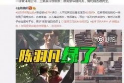 蔡向阳遗孀独家爆料视频,独家爆料视频背后的惊人真相