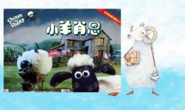 灰小羊爆料视角视频下载,视频下载背后的秘密大公开