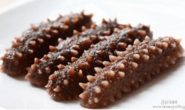 烟台海参爆料视频播放最新,揭秘海参行业背后的真相与最新动态