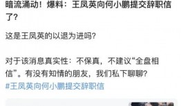 小鹏离职员工爆料视频,揭秘新能源汽车巨头真实面貌”