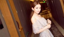 赵丽颖爆料王智视频播放,揭秘背后真相与情感纠葛