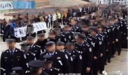 缉毒群英在线观看,在线揭秘生死较量