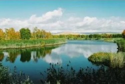 成都白沙湖最新爆料新闻,揭秘真相与影响