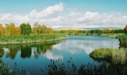 成都白沙湖最新爆料新闻,揭秘真相与影响