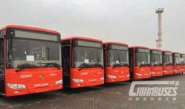 金龙公交车爆料案件视频,真相揭露与法律追责