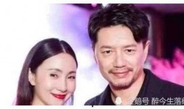 明星吃瓜被爆料视频,一场意外的“瓜界风暴”