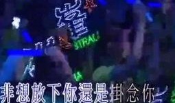 娱乐吃瓜君的背景音乐,跟随节奏，畅游娱乐圈的欢乐海洋