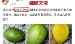 全网都在吃小瓜的网红,揭秘“小瓜”网红背后的故事