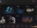 南极最新爆料视频大全,最新爆料视频大盘点