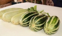 网红最新的瓜爆料外国,外国神秘事件大揭秘