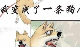 吃瓜的小猫小说免费阅读,揭秘娱乐圈背后的秘密