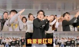 厦门皓哥最新爆料,最新爆料背后的惊人真相