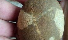 鸡蛋和石头在线观看,在线观看的智慧对决