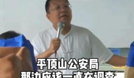 鲁山爆料者被威胁事件视频,勇敢揭露真相背后的惊心动魄