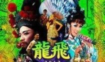 龙飞凤舞在线观看,在线观看，领略中华武术之美
