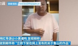 鲁山爆料者被威胁事件视频,勇敢揭露真相背后的惊心动魄