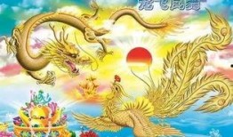 龙飞凤舞在线观看,在线观看，领略中华武术之美