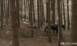 东莞枯树爆料事件视频播放,真相与反思