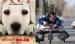 男人日狗电影在线观看,一场禁忌的视觉盛宴