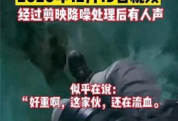 钟氏家族爆料事件视频播放,揭秘事件背后真相