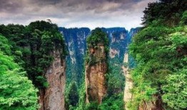 张家界最新新闻爆料,神秘洞穴发现罕见生物，探险之旅再掀热潮