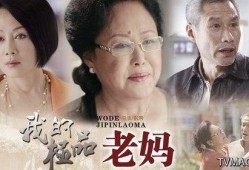 极品老妈在线观看,温馨家庭喜剧，笑中带泪的亲情故事